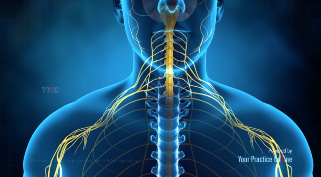Cervical Radiculopathy and Myelopathy