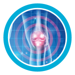 BH-Mako_web-graphicsknee